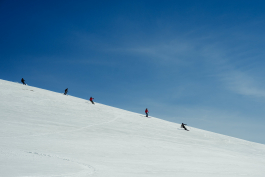 CAROLIN UNRATH PHOTOGRAPHY