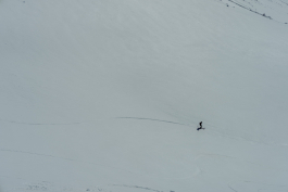 CAROLIN UNRATH PHOTOGRAPHY