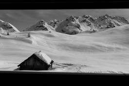 CAROLIN UNRATH PHOTOGRAPHY