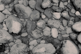 CAROLIN UNRATH PHOTOGRAPHY