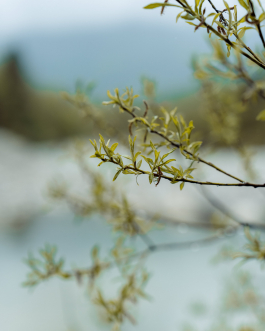 CAROLIN UNRATH PHOTOGRAPHY