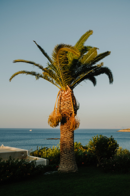 CAROLIN UNRATH PHOTOGRAPHY