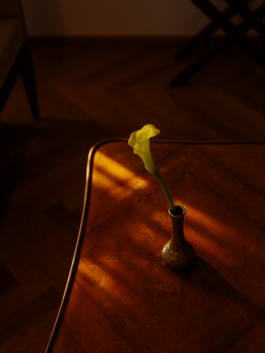 CAROLIN UNRATH PHOTOGRAPHY