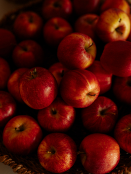 CAROLIN UNRATH PHOTOGRAPHY