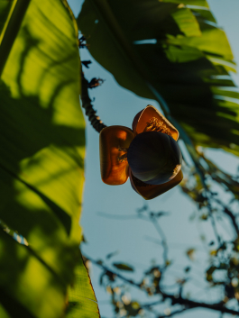 CAROLIN UNRATH PHOTOGRAPHY