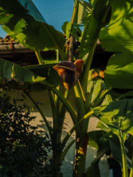 CAROLIN UNRATH PHOTOGRAPHY