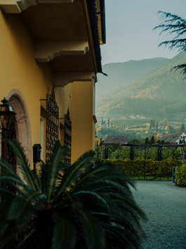 CAROLIN UNRATH PHOTOGRAPHY