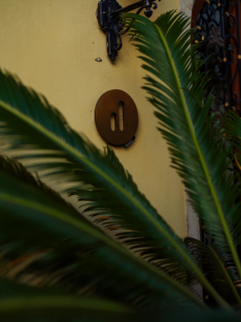 CAROLIN UNRATH PHOTOGRAPHY