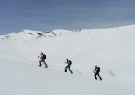 CAROLIN UNRATH PHOTOGRAPHY