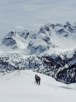 CAROLIN UNRATH PHOTOGRAPHY