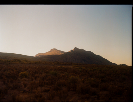 CAROLIN UNRATH PHOTOGRAPHY