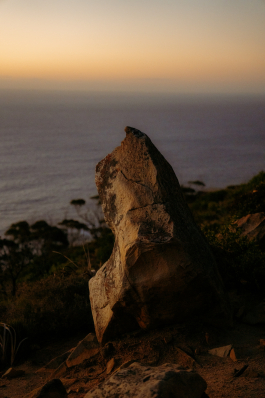 CAROLIN UNRATH PHOTOGRAPHY