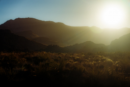 CAROLIN UNRATH PHOTOGRAPHY