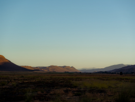 CAROLIN UNRATH PHOTOGRAPHY