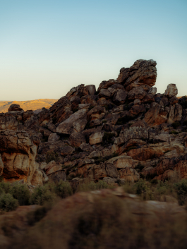 CAROLIN UNRATH PHOTOGRAPHY