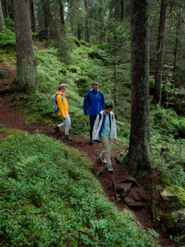 CAROLIN UNRATH PHOTOGRAPHY