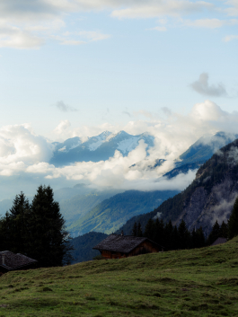 CAROLIN UNRATH PHOTOGRAPHY