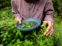 CAROLIN UNRATH PHOTOGRAPHY