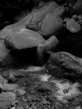 CAROLIN UNRATH PHOTOGRAPHY