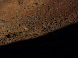 CAROLIN UNRATH PHOTOGRAPHY