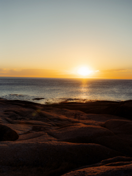 CAROLIN UNRATH PHOTOGRAPHY