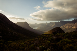 CAROLIN UNRATH PHOTOGRAPHY