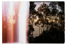 CAROLIN UNRATH PHOTOGRAPHY