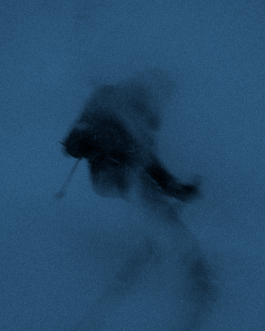 CAROLIN UNRATH PHOTOGRAPHY