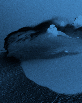 CAROLIN UNRATH PHOTOGRAPHY