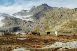 CAROLIN UNRATH PHOTOGRAPHY